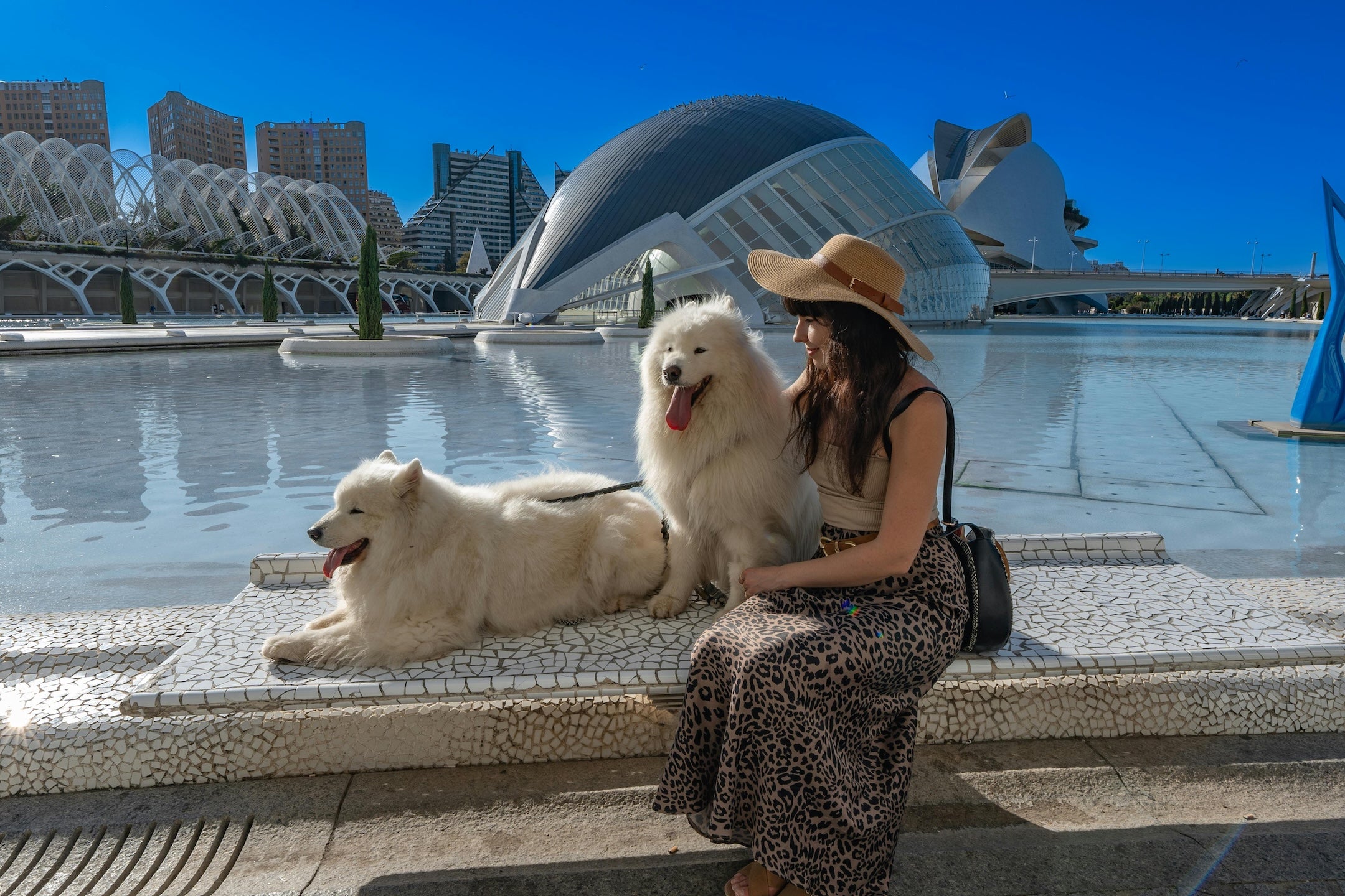 The Best Travel Gear for Dogs in 2026 (Tried, Tested, and Actually Worth It)
