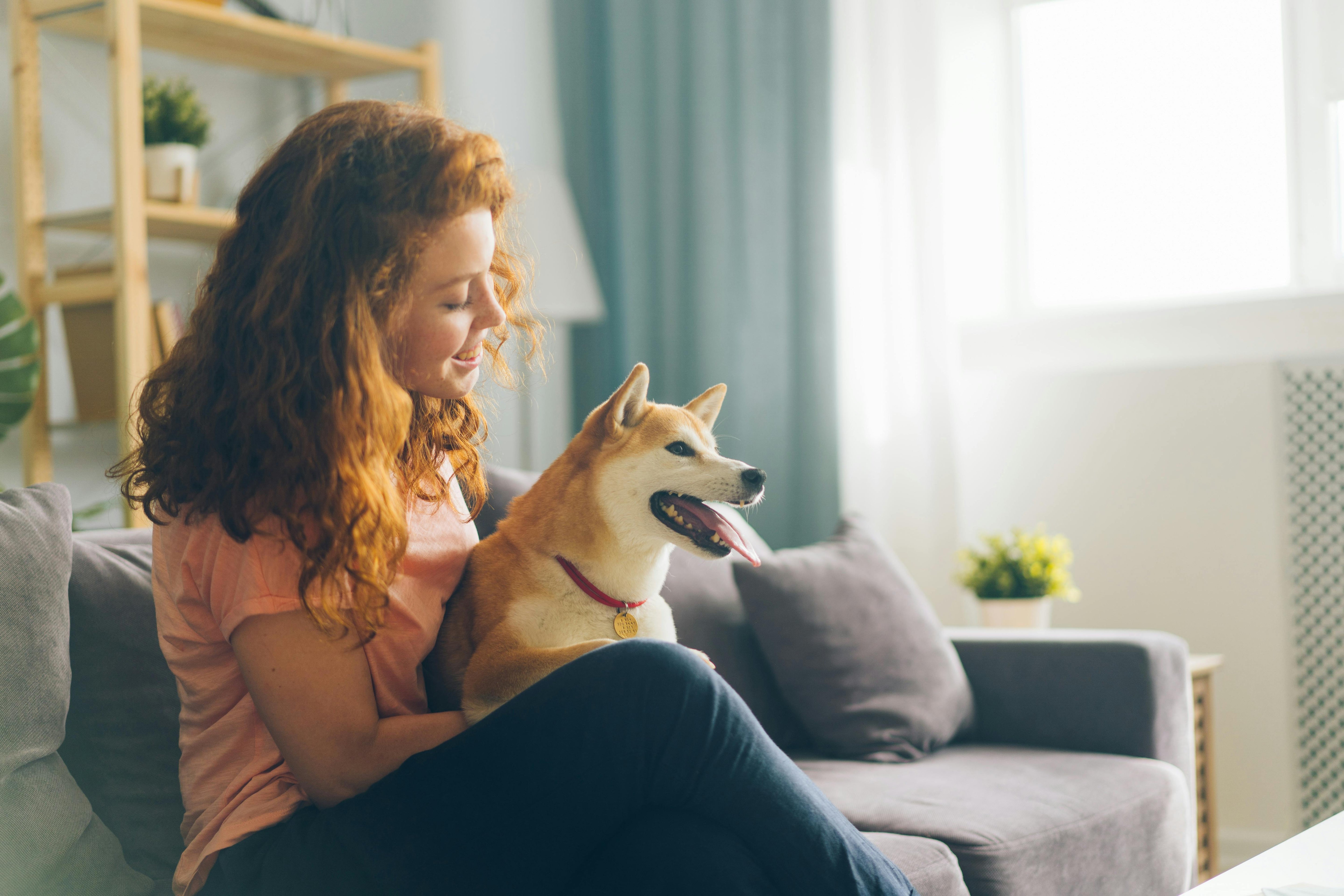 How to Keep Your Pet Genuinely Happy at Home (Without Overcomplicating It)
