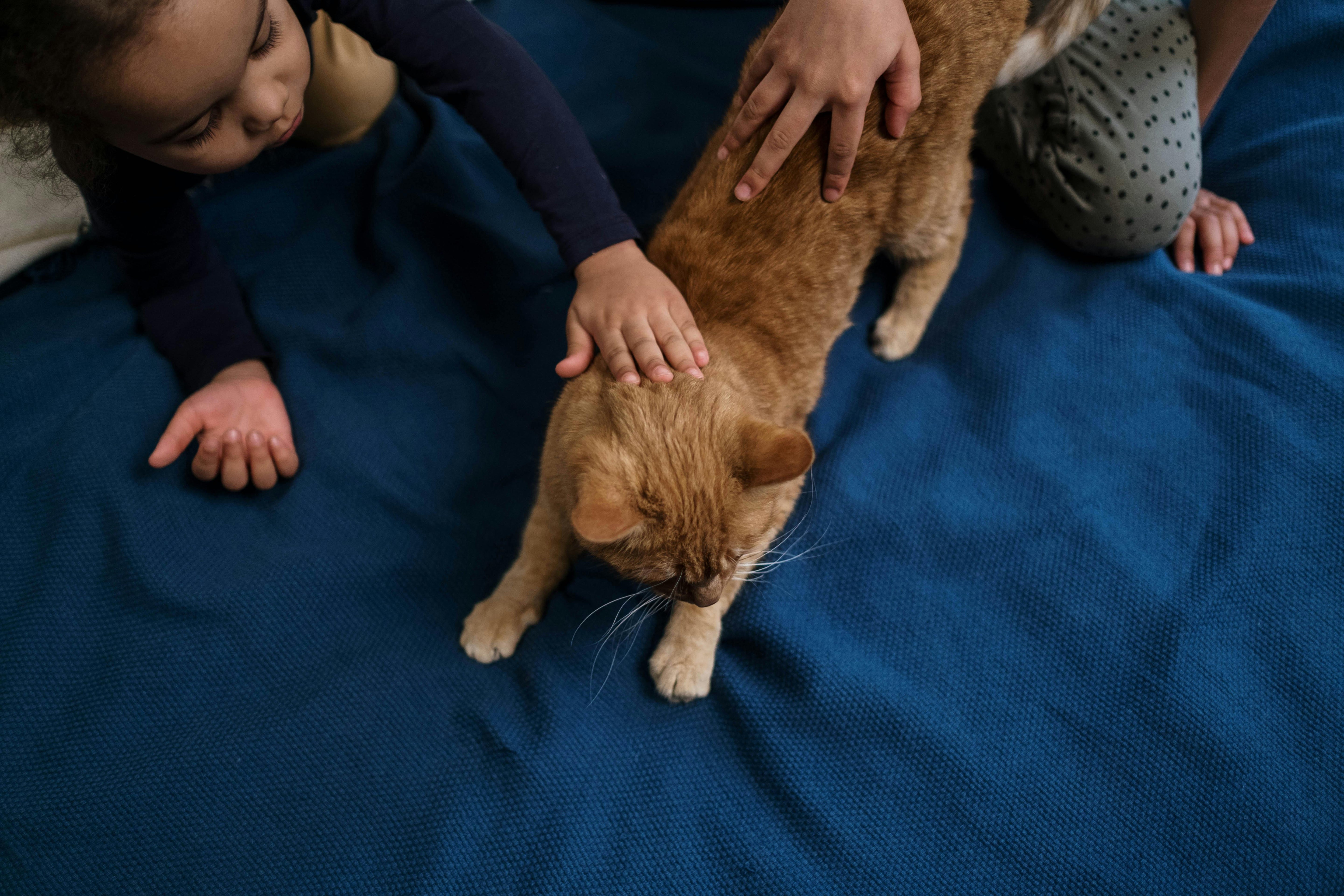 The Biggest Pet Trends of 2026 (And What They Actually Mean for Your Pet)