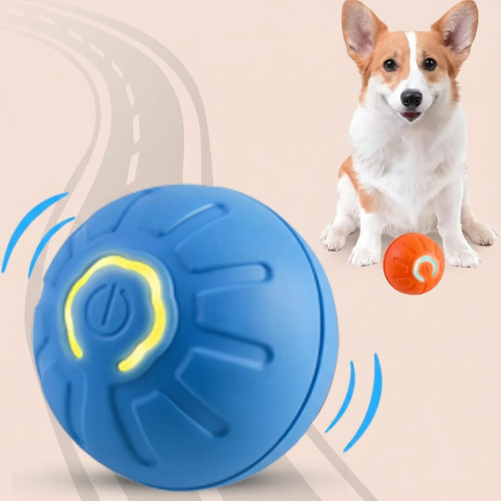 Blue dog toy with a yellow center next to a dog and another toy.