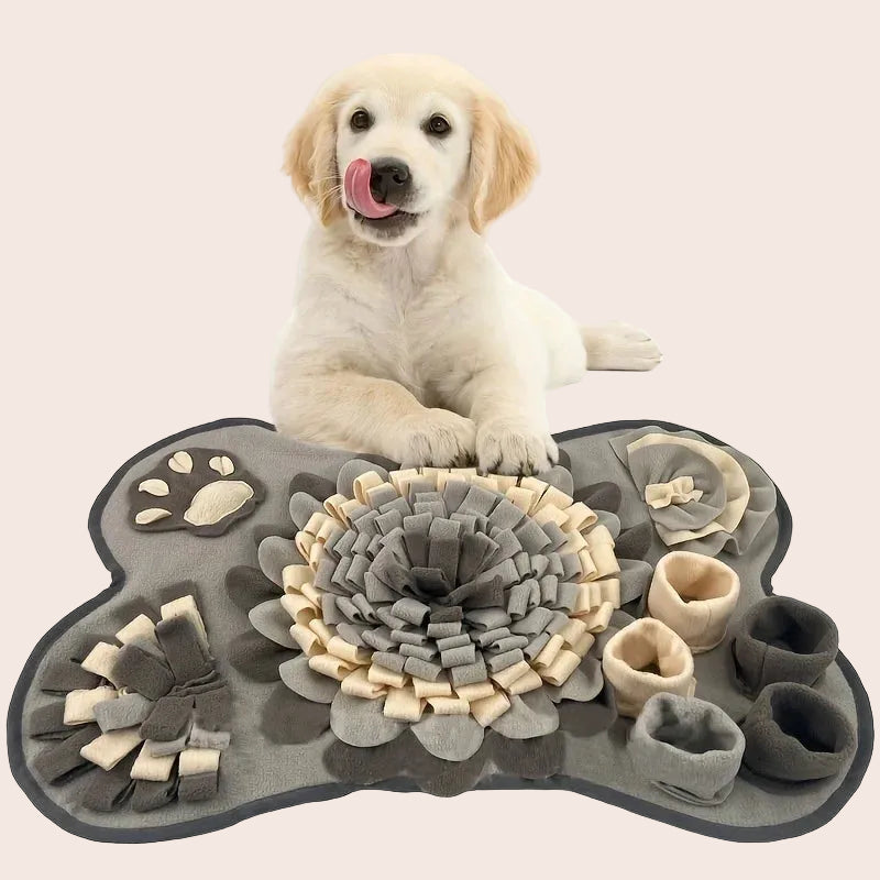 Dog sitting on a paw-shaped mat with a white background