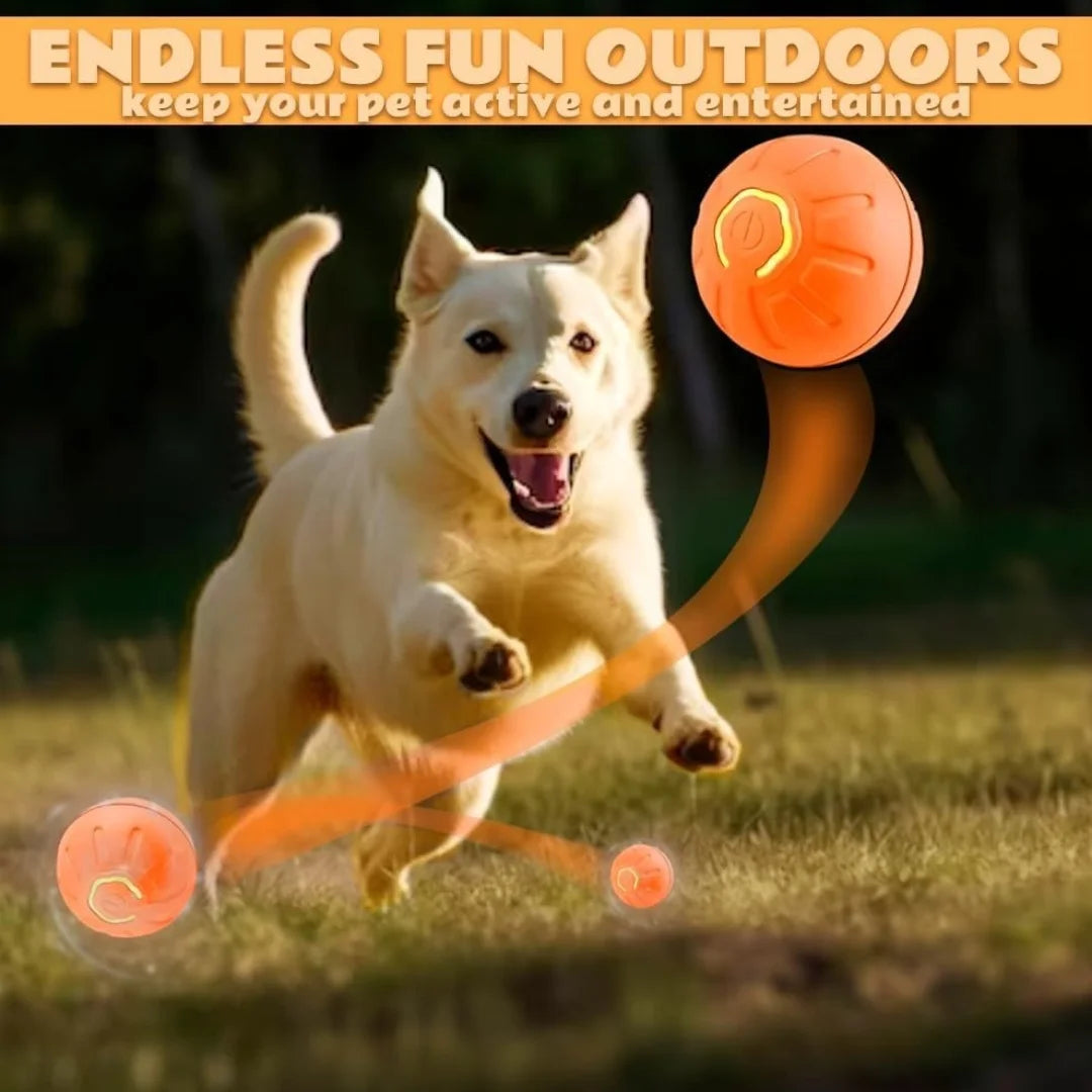 Electric Smart Bouncing Ball for Dogs & Cats