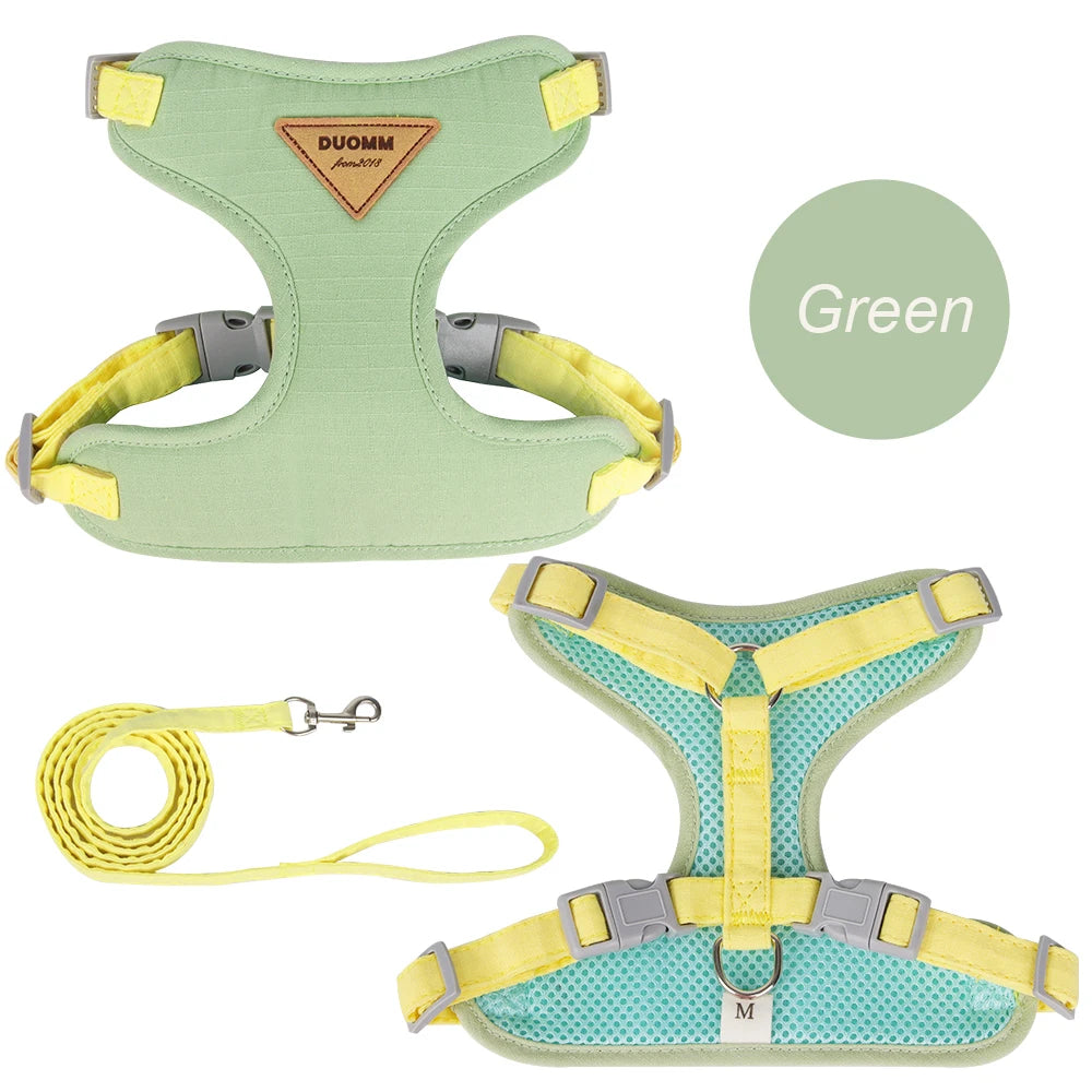 Padded Harness & Leash Set for Cats and Small Dogs