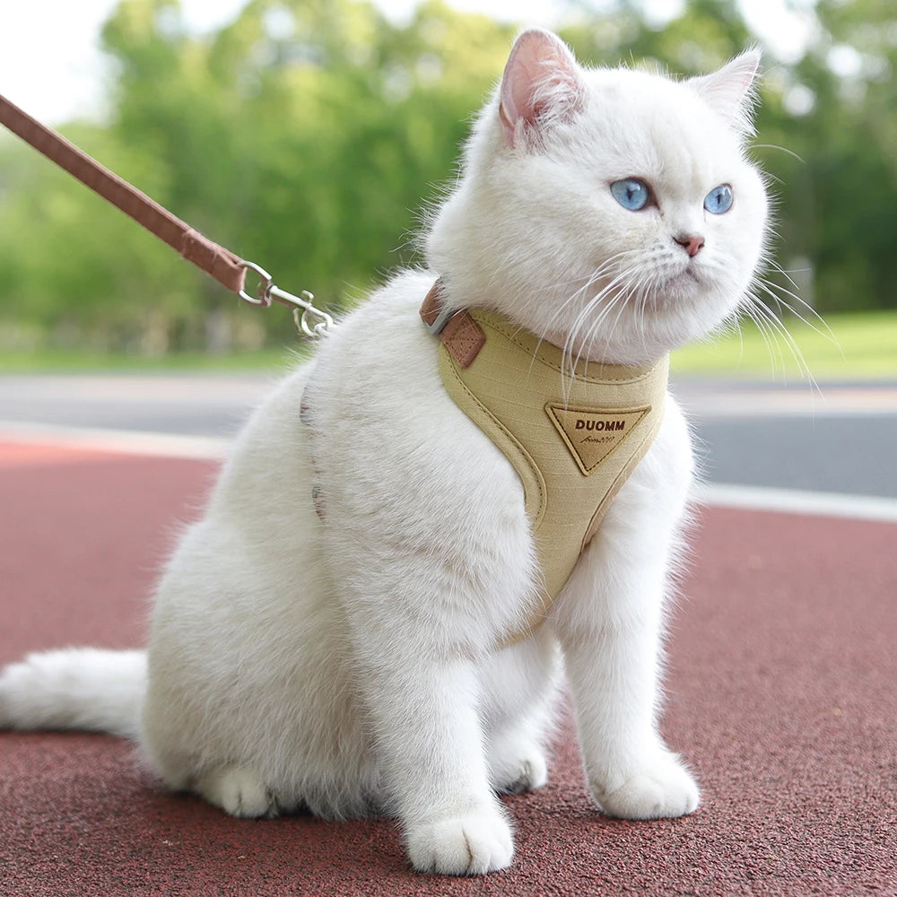 Padded Harness & Leash Set for Cats and Small Dogs