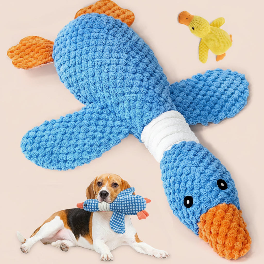 Dog playing with a blue knitted toy shaped like a fish on a white background