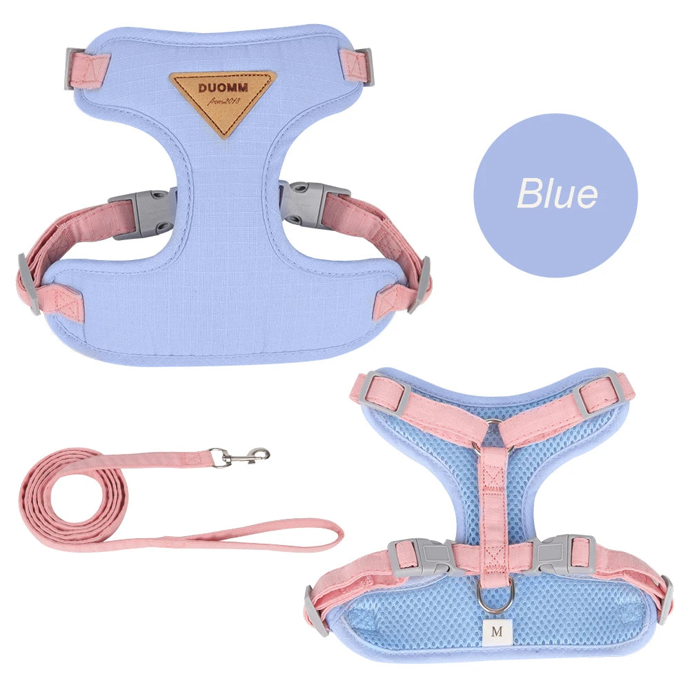 Padded Harness & Leash Set for Cats and Small Dogs