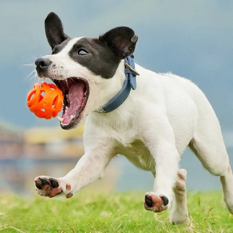 Hollow Silicone Chew Ball for Dogs