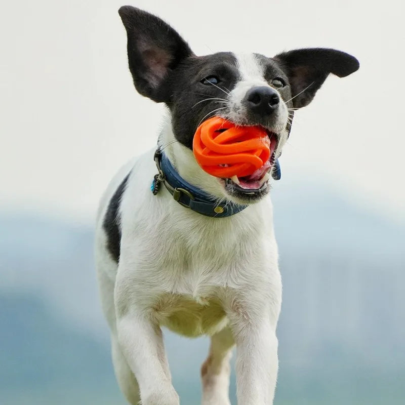 Hollow Silicone Chew Ball for Dogs
