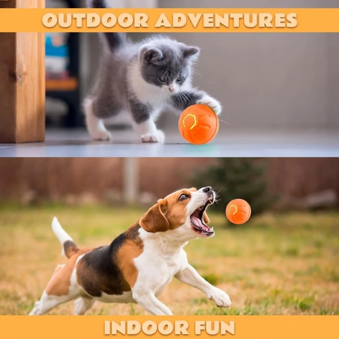 Electric Smart Bouncing Ball for Dogs & Cats