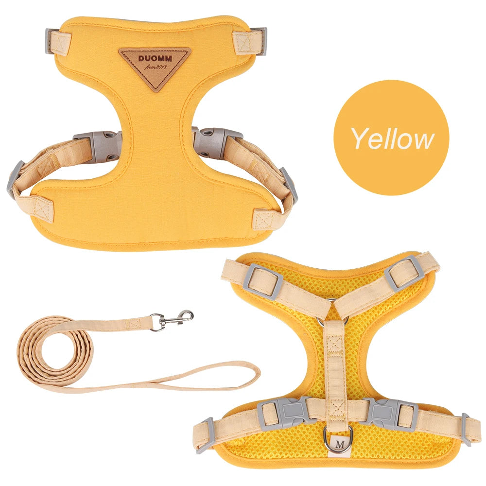 Padded Harness & Leash Set for Cats and Small Dogs