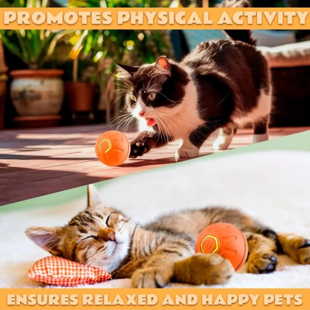 Electric Smart Bouncing Ball for Dogs & Cats