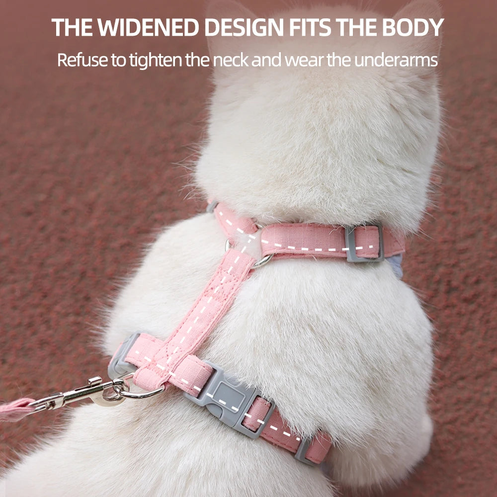 Padded Harness & Leash Set for Cats and Small Dogs