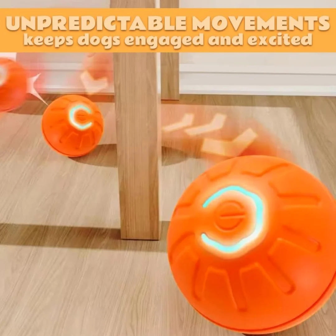 Electric Smart Bouncing Ball for Dogs & Cats