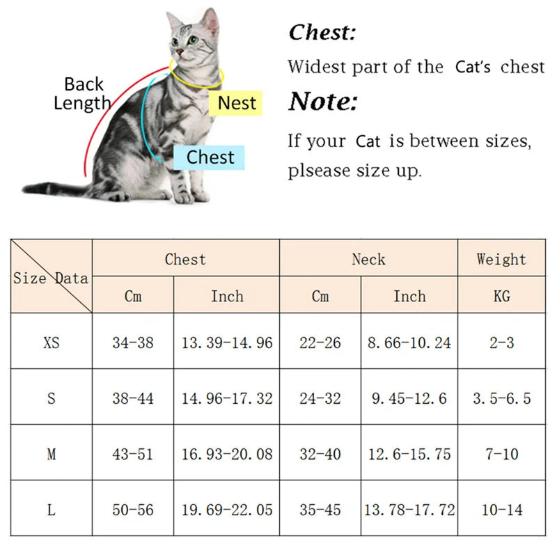 Padded Harness & Leash Set for Cats and Small Dogs