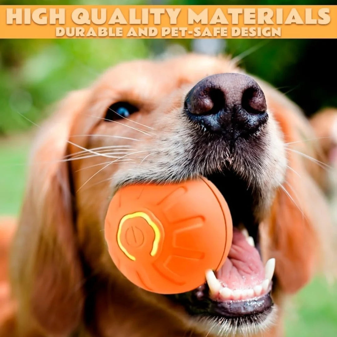 Electric Smart Bouncing Ball for Dogs & Cats