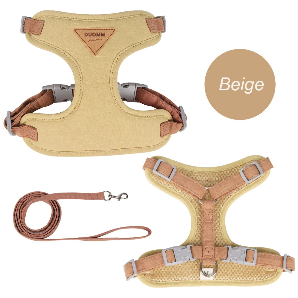 Padded Harness & Leash Set for Cats and Small Dogs