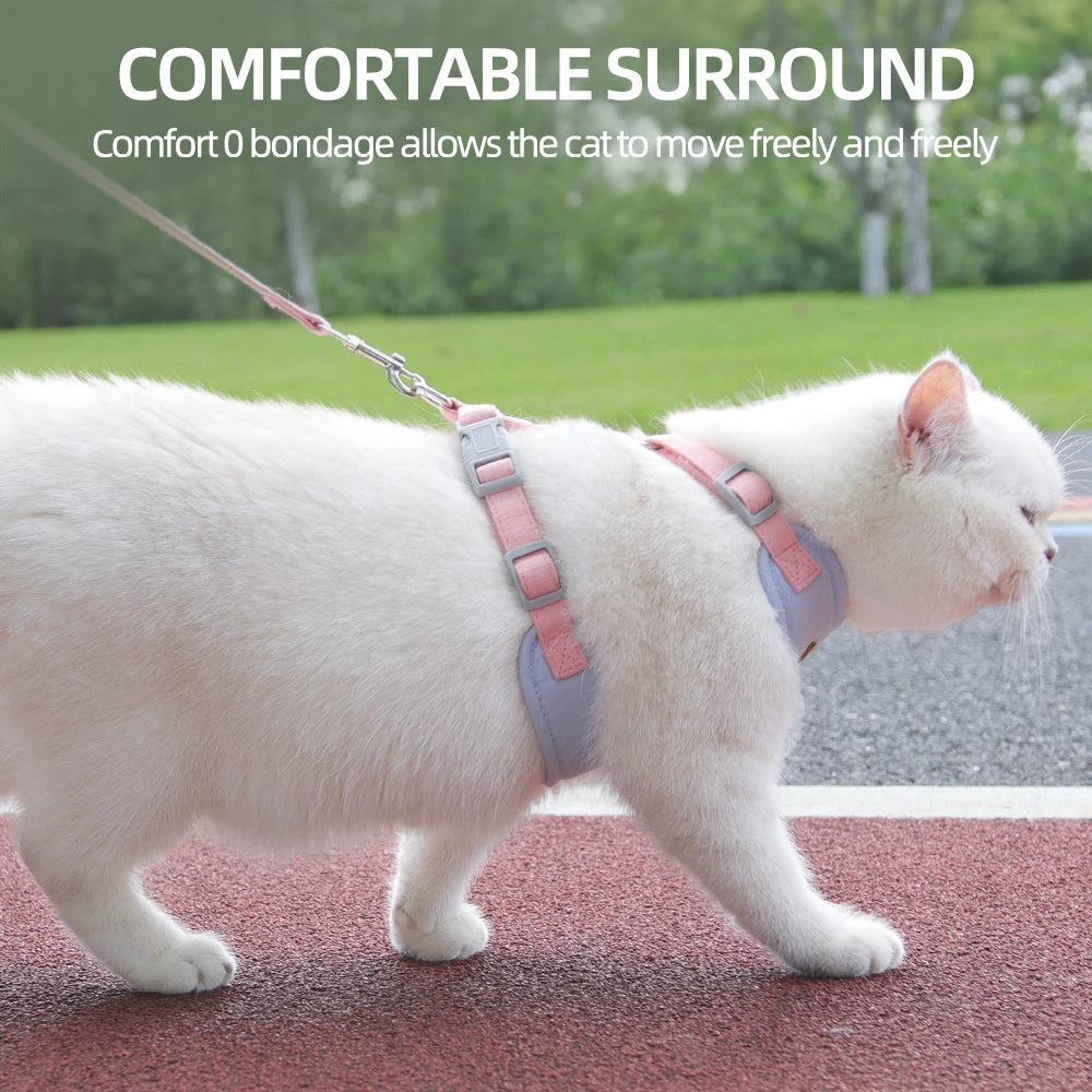 Padded Harness & Leash Set for Cats and Small Dogs